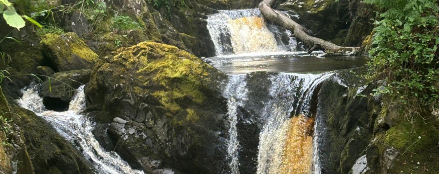 Ingleton