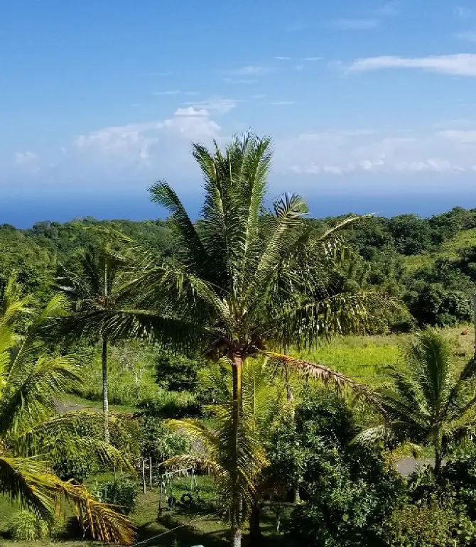 Saint Ann's Bay