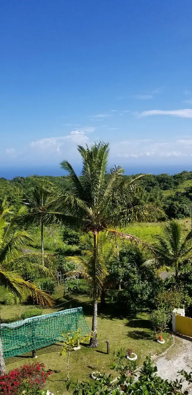 Hoteles cerca de St. Ann's Bay Library