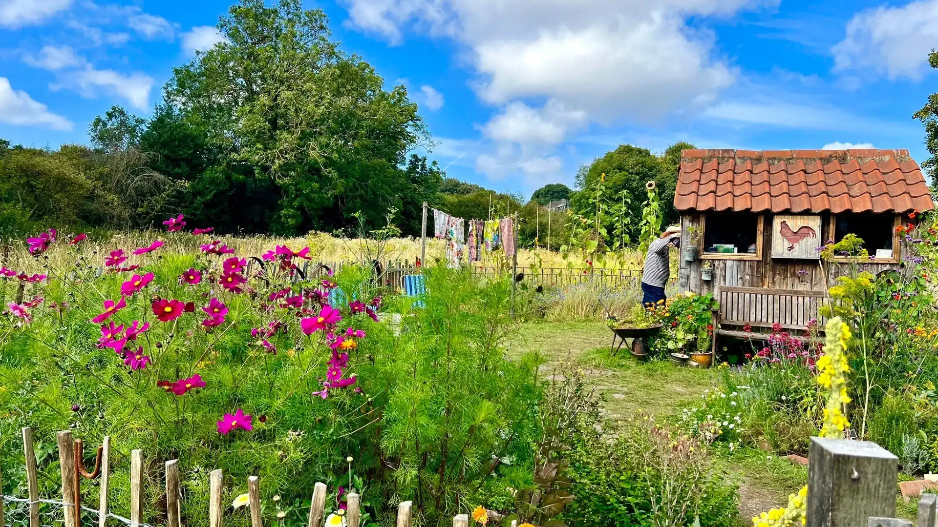 Hotels near National Trust - Crook Hall Gardens
