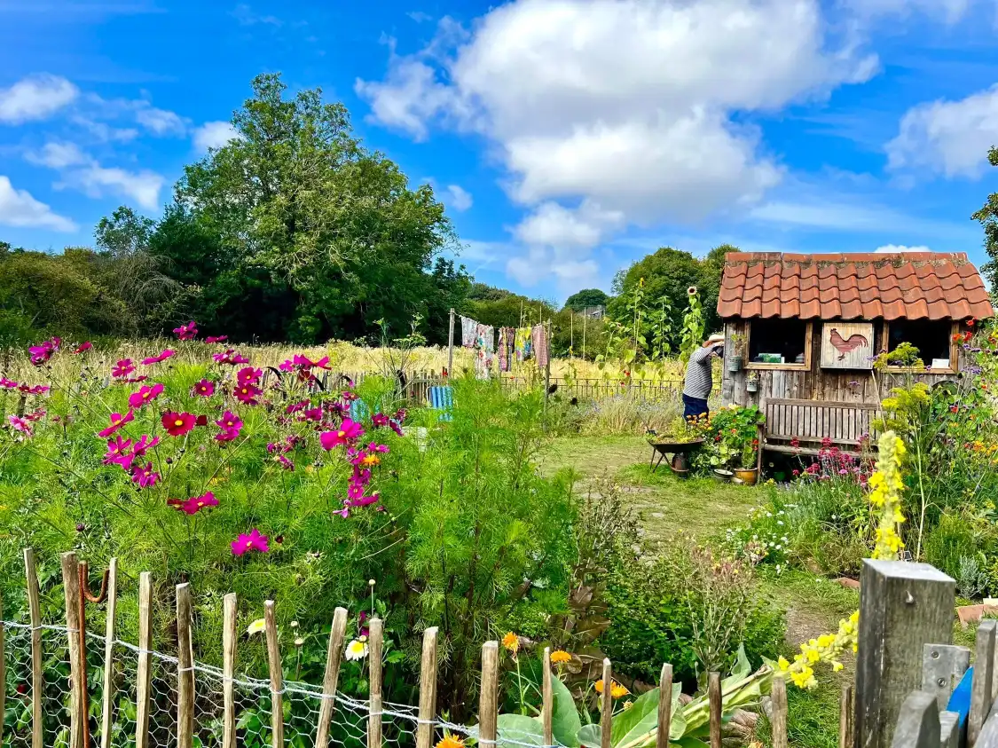 Hotels near National Trust - Crook Hall Gardens