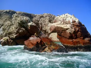 Ballestas Islands