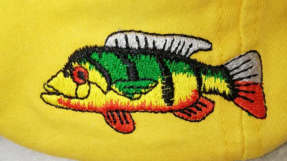 Panama Canal Fishing