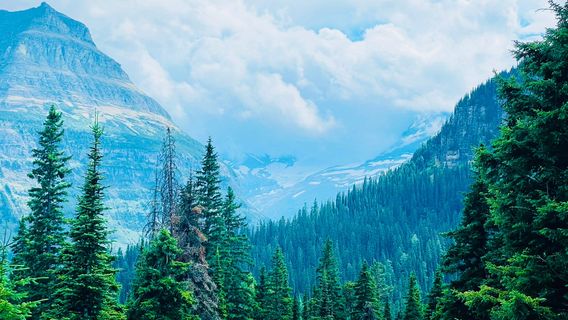 Going-to-the-Sun Road