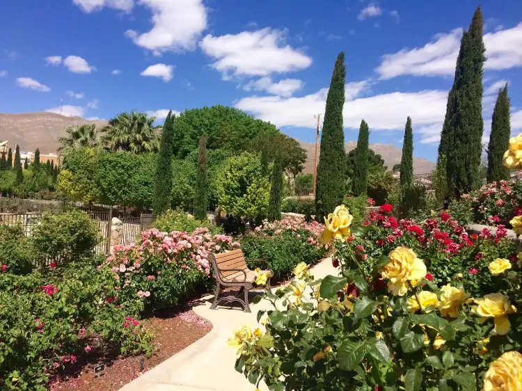 Hotels near El Paso Municipal Rose Garden