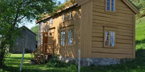 Ole Ottesastua
