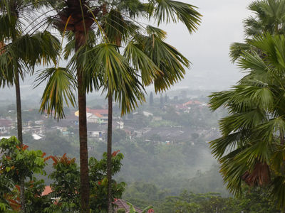 Putuk Truno Waterfall