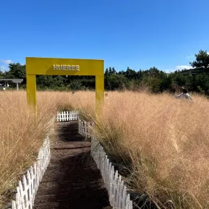 휴애리 자연생활공원