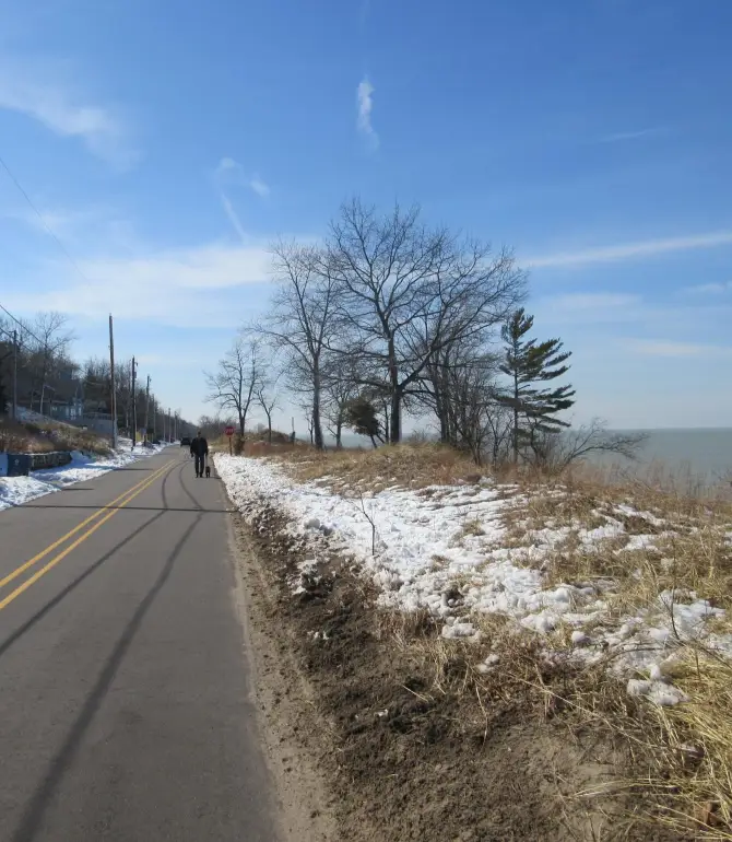 Pine Township