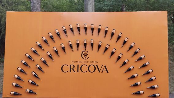 Cricova Winery