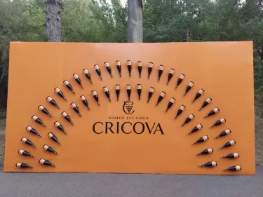Cricova Winery