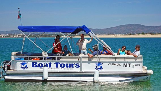 Sabino Boat Tours