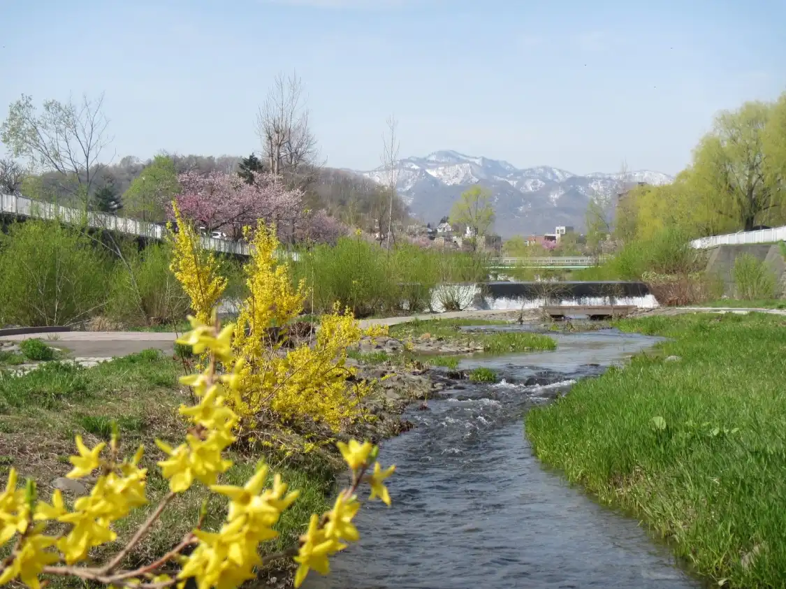 Отели рядом с достопримечательностью «Kotonihassamu River»