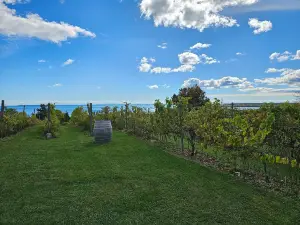 The County Cider Company - Tasting Room