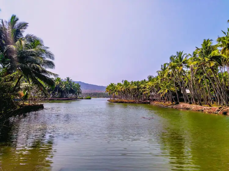 Hotels near Ezhimala Beach