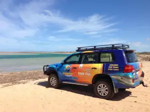 Shark Bay Ocean Park Aquarium