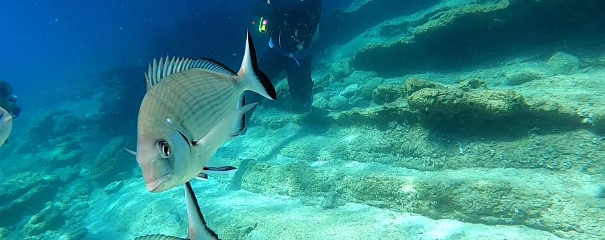 Aquapro Dive Center