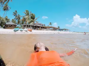 Barra De Punau