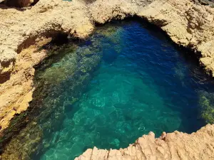 Natural Pool