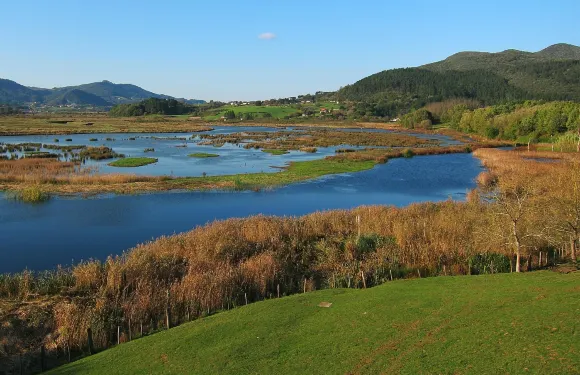 高特希薩爾特亞加
