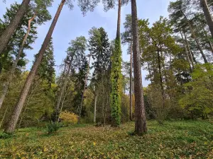 Forest Arboretum of Warmia i Mazur