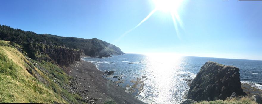 Trout River