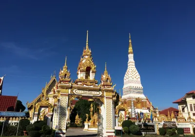 Amphoe That Phanom