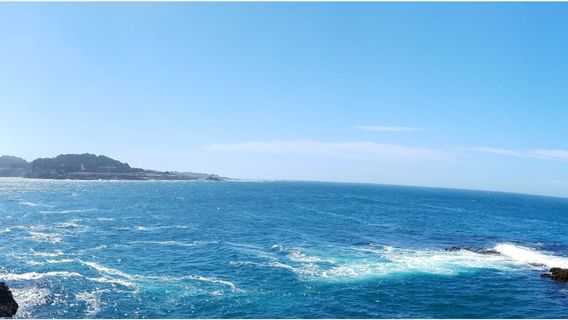 Mendocino Area Parks Association