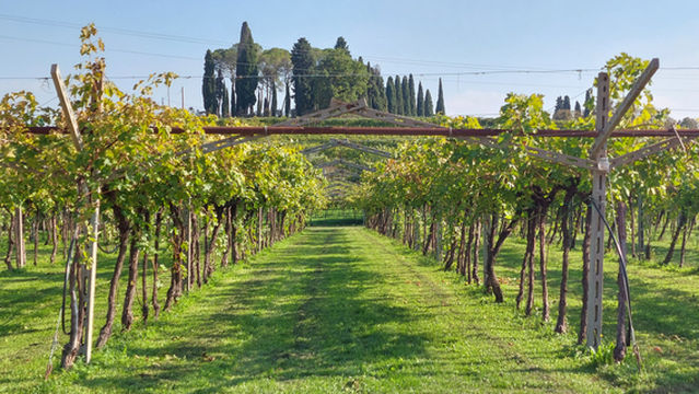 Agricola Pietro Zardini