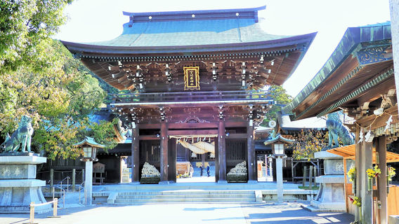 Toyotamahime Shrine (Princess Toyotama Shrine)