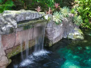 Olheiro Spring