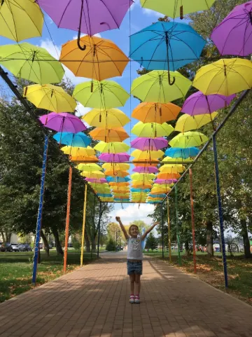 索爾涅奇諾戈爾斯基區