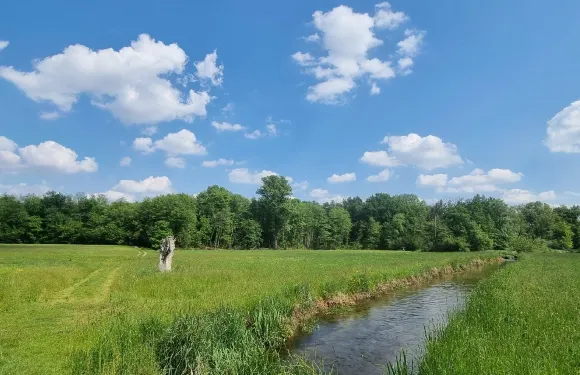 貝爾納泰蒂奇諾
