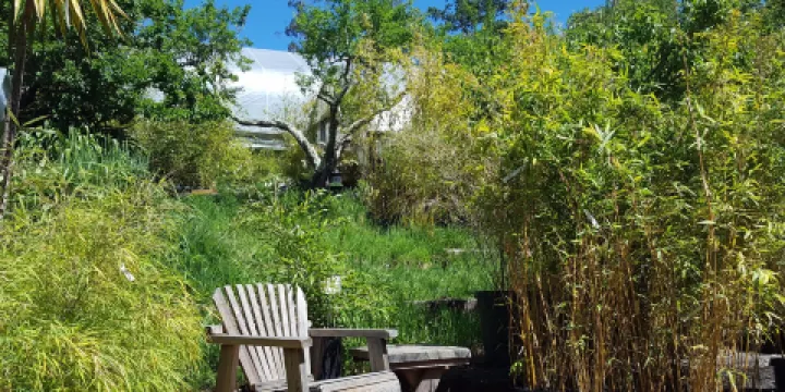 Bamboo Sourcery Nursery & Gardens