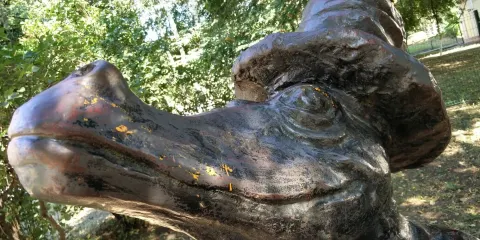 Monument to the Crocodile