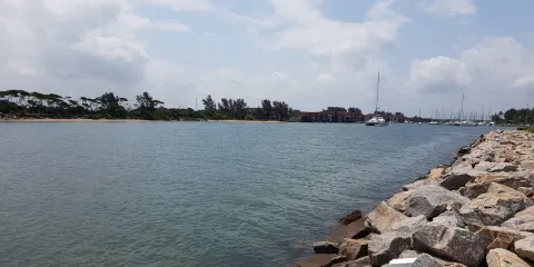 Pelican Island