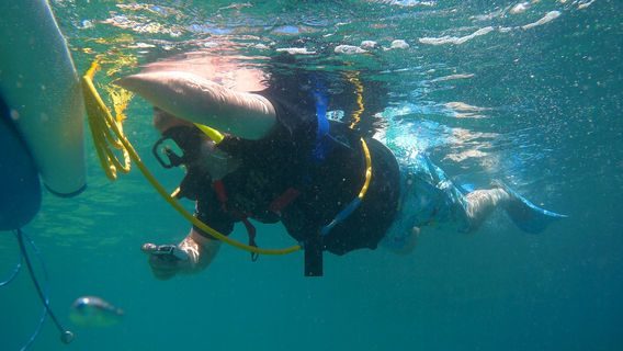 Snuba St Maarten (SNUBASXM)