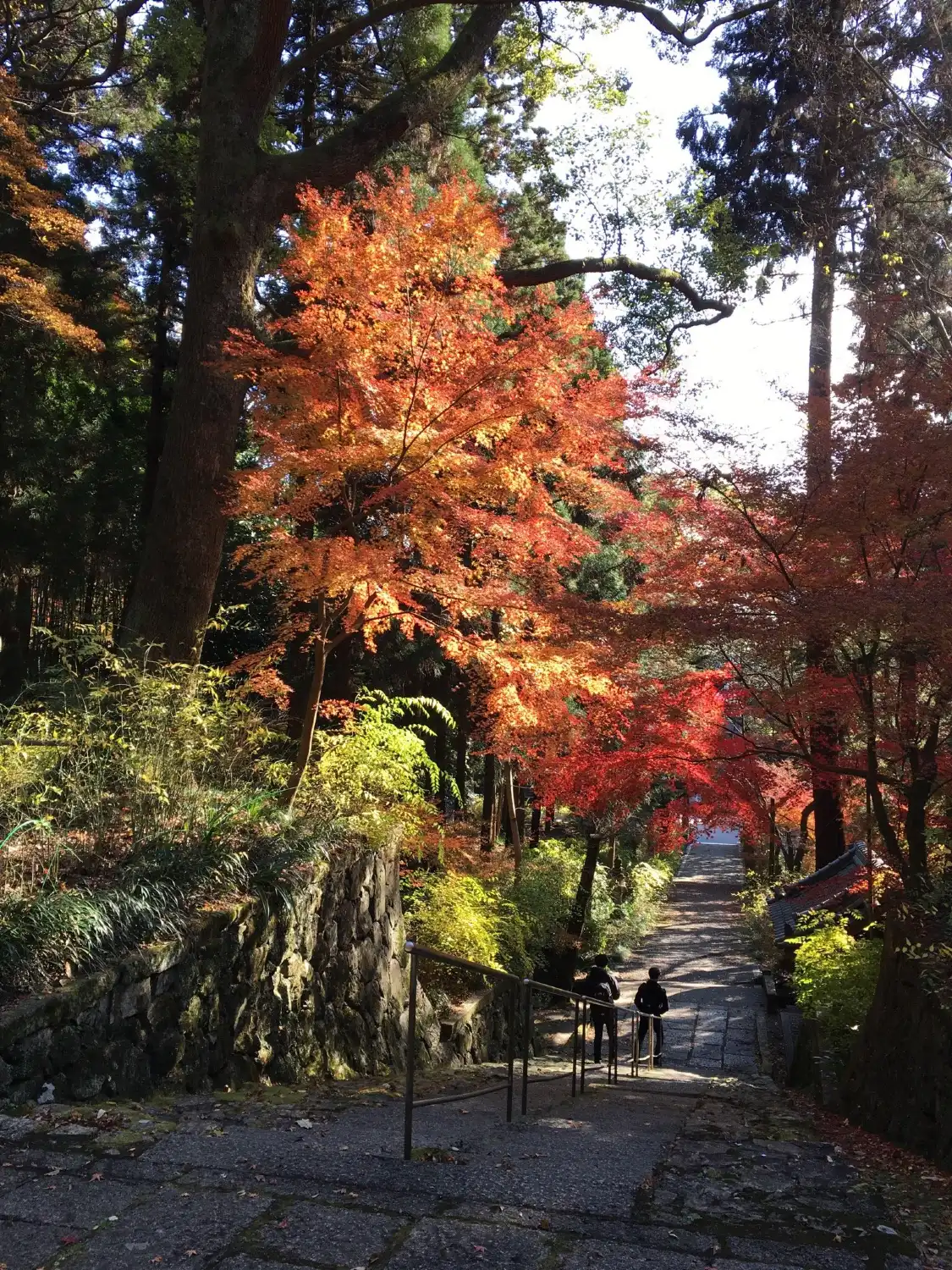 Hotels near Shiio Shrine
