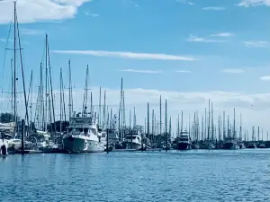 Brunswick Landing Marina Inc