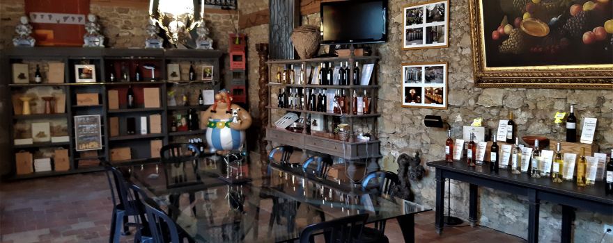 Castle de Tigne Vins Gerard Depardieu