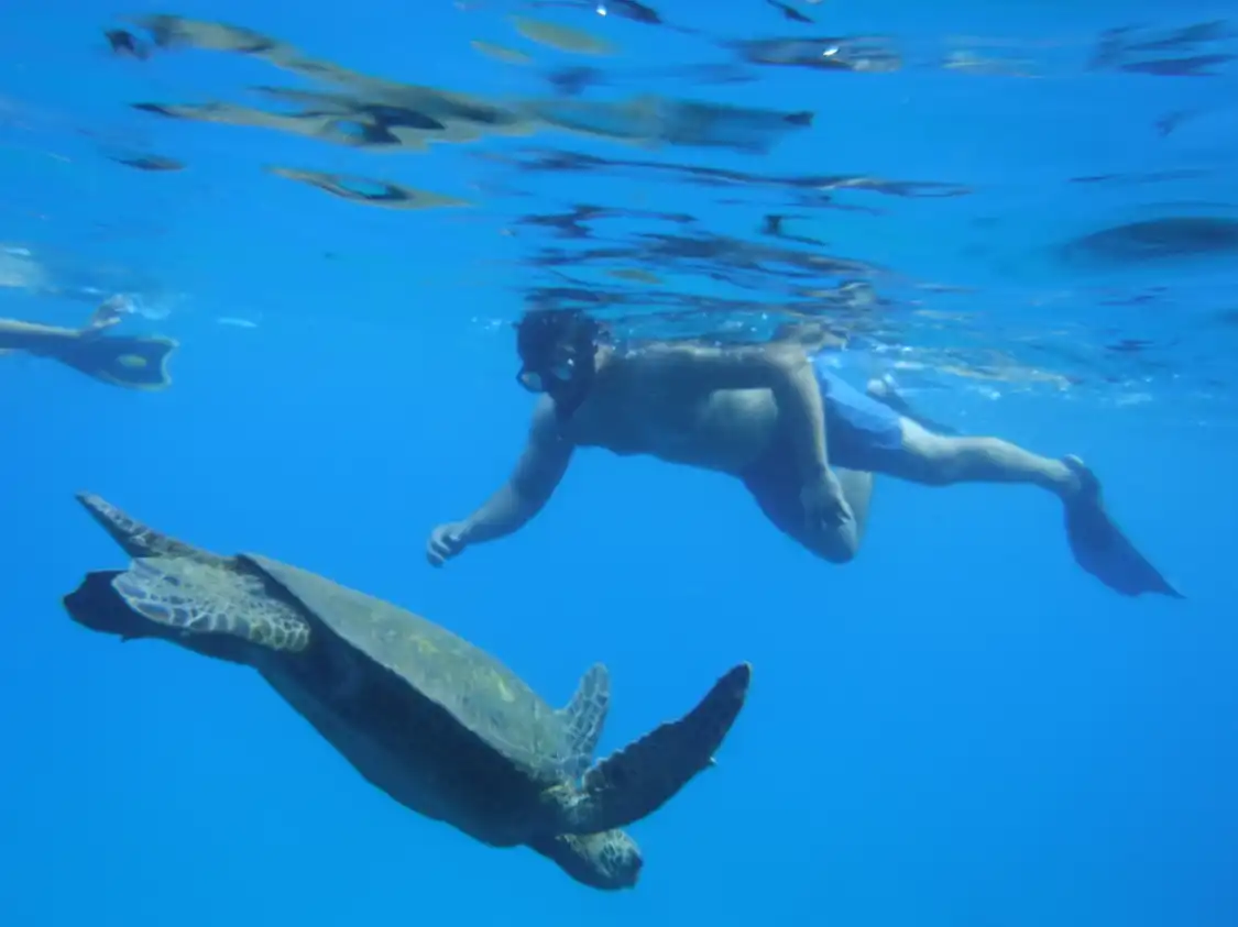Hotels near 808 Divers