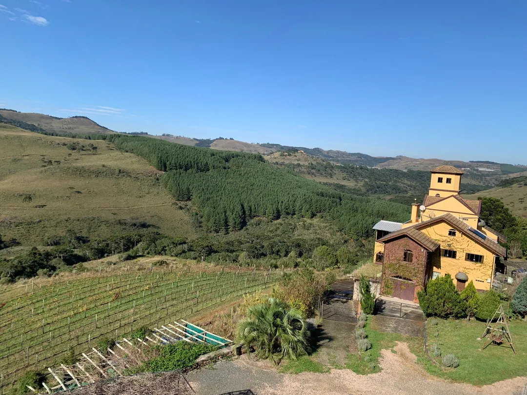 5_Winery Leone di Venezia