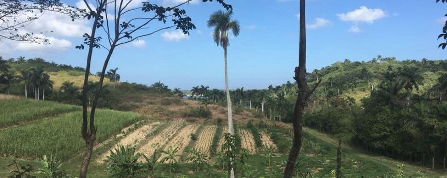 Finca Tungasuk