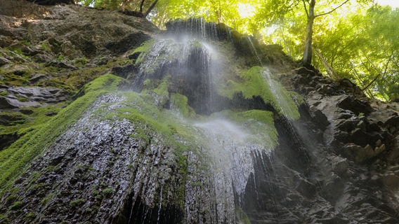 Les Gorges De La Jogne