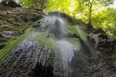 Gorges de la Jogne