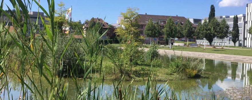 Liebefeld Park