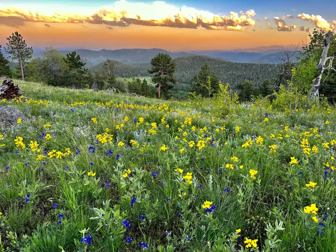 Các khách sạn gần Downtown Estes Park