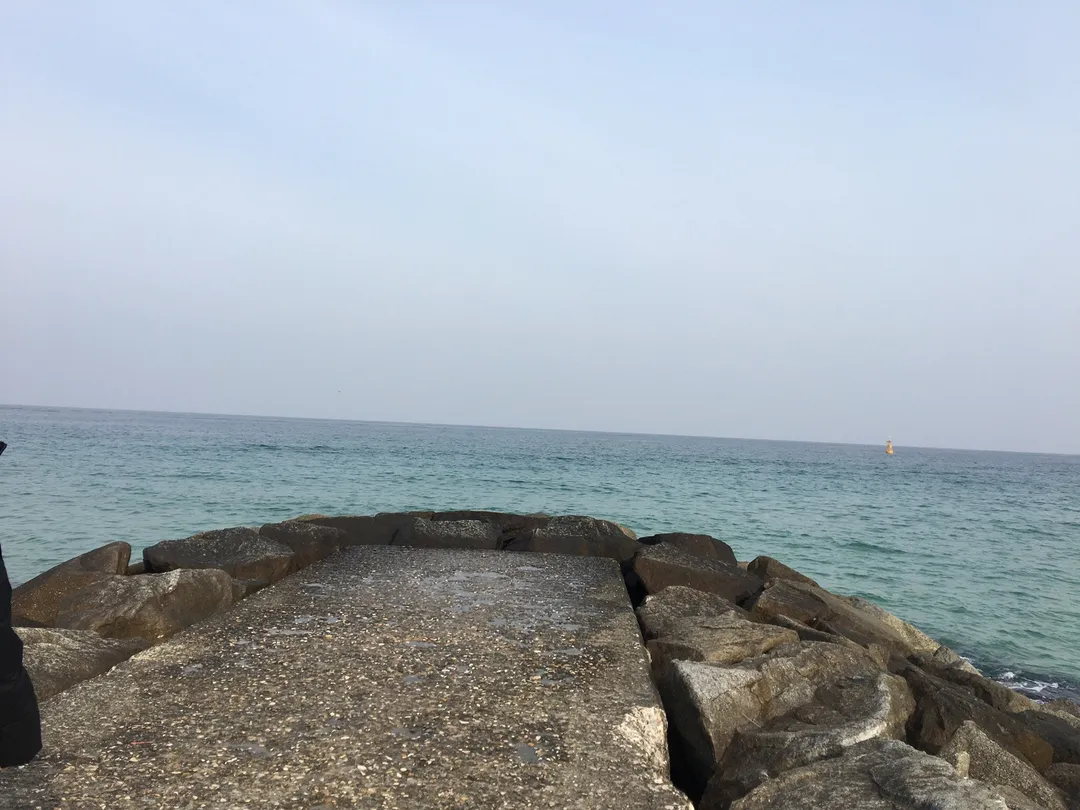 江陵一日遊攻略 | 註文津防沙堤