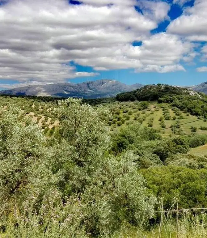 Villanueva del Rosario