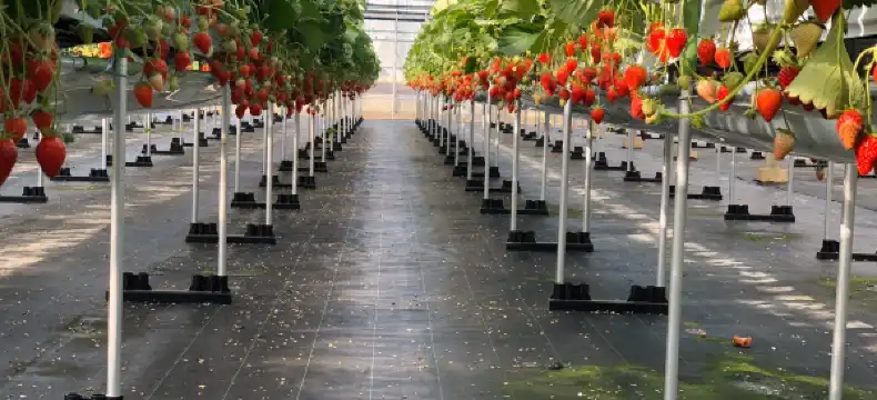 宜野座村のホテル